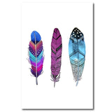 Colorful Feather