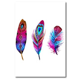 Colorful Feather