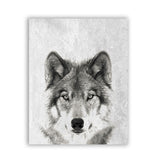 Wild Animal