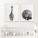 Animals Butt