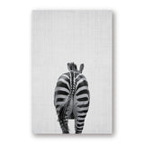 Animals Butt