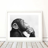 Monkey Black and White