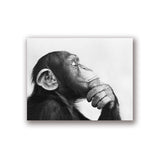Monkey Black and White
