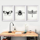 Insect Dragonfly Art