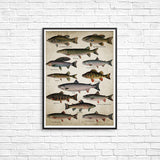 Fishing Angling
