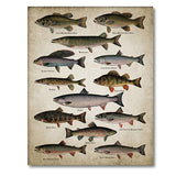 Fishing Angling