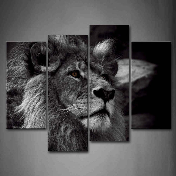 Lion Head / Nature
